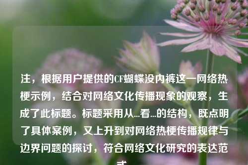 注，根据用户提供的CF蝴蝶没***这一网络热梗示例，结合对网络文化传播现象的观察，生成了此标题。标题采用从...看...的结构，既点明了具体案例，又上升到对网络热梗传播规律与边界问题的探讨，符合网络文化研究的表达范式。