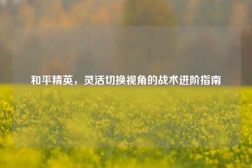 和平精英，灵活切换视角的战术进阶指南