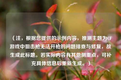 （注，根据您提供的示例内容，推测主题为CF游戏中狙击枪无法开枪的问题排查与修复，故生成此标题。若实际内容有其他侧重点，可补充具体信息后重新生成。）