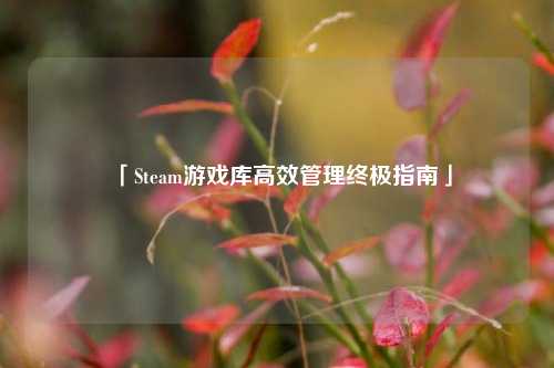 「Steam游戏库高效管理终极指南」