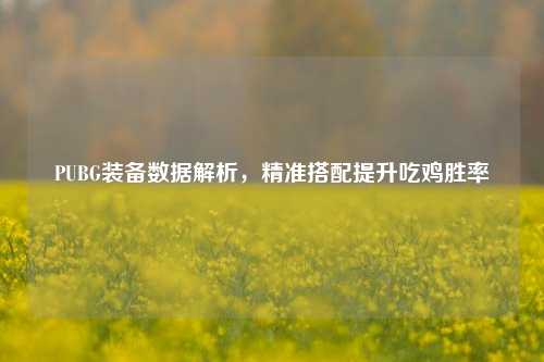 PUBG装备数据解析，精准搭配提升吃鸡胜率