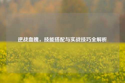 逆战血魄，技能搭配与实战技巧全解析