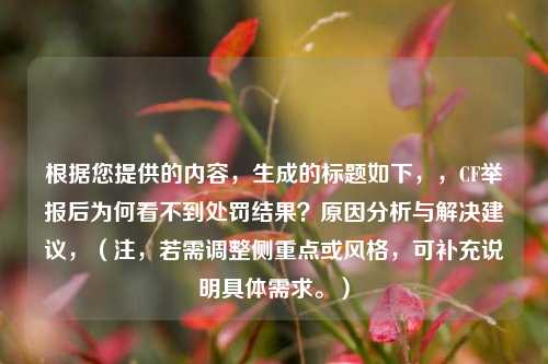根据您提供的内容，生成的标题如下，，CF举报后为何看不到处罚结果？原因分析与解决建议，（注，若需调整侧重点或风格，可补充说明具体需求。）