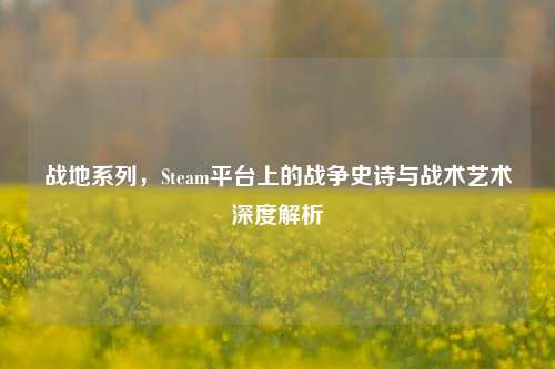 战地系列，Steam平台上的战争史诗与战术艺术深度解析