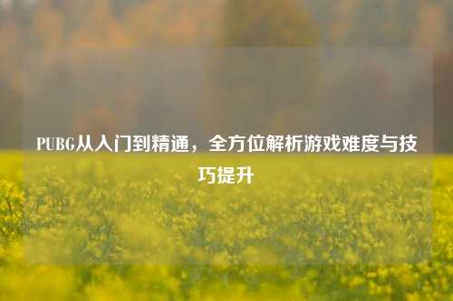 PUBG从入门到精通，全方位解析游戏难度与技巧提升