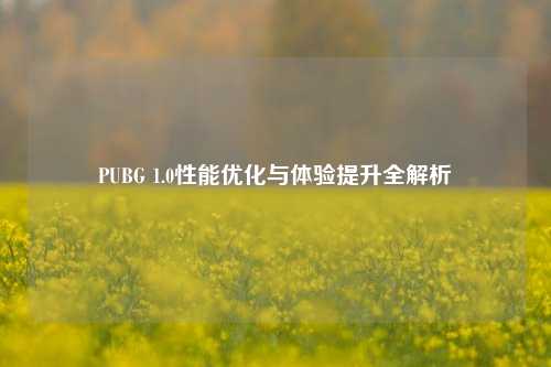 PUBG 1.0性能优化与体验提升全解析