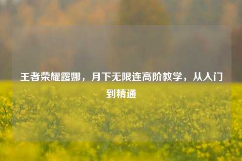 王者荣耀露娜，月下无限连高阶教学，从入门到精通
