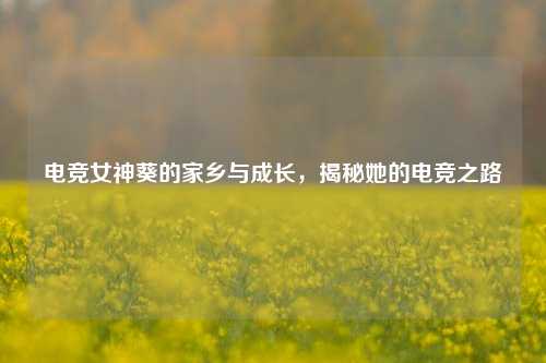 电竞女神葵的家乡与成长，揭秘她的电竞之路
