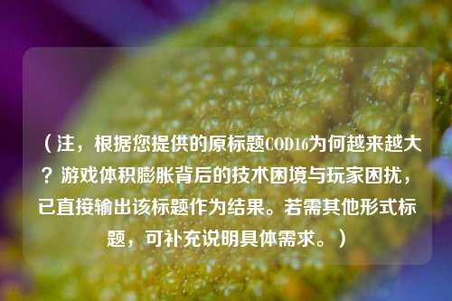 （注，根据您提供的原标题COD16为何越来越大？游戏体积膨胀背后的技术困境与玩家困扰，已直接输出该标题作为结果。若需其他形式标题，可补充说明具体需求。）