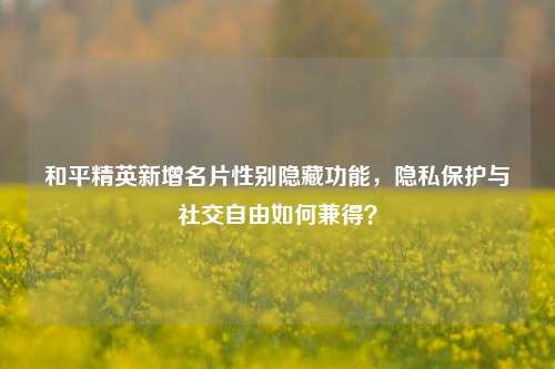 和平精英新增名片性别隐藏功能，隐私保护与社交自由如何兼得？