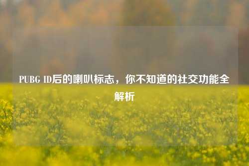 PUBG ID后的喇叭标志，你不知道的社交功能全解析
