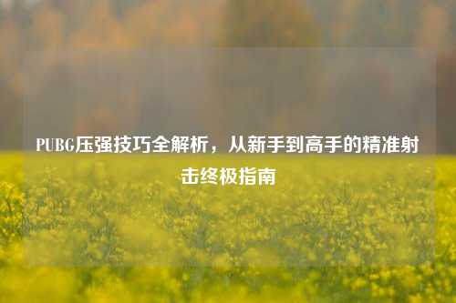 PUBG压强技巧全解析，从新手到高手的精准射击终极指南