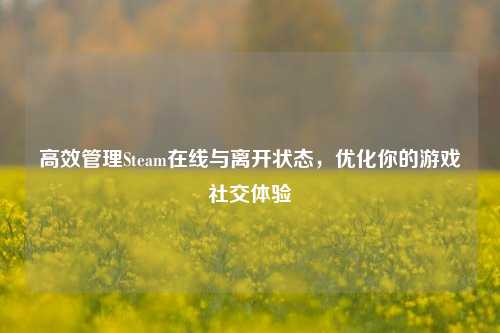 高效管理Steam在线与离开状态，优化你的游戏社交体验