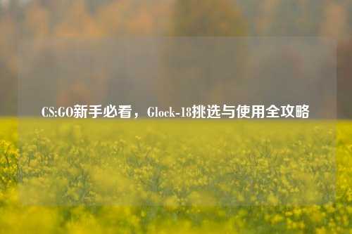 CS:GO新手必看，Glock-18挑选与使用全攻略