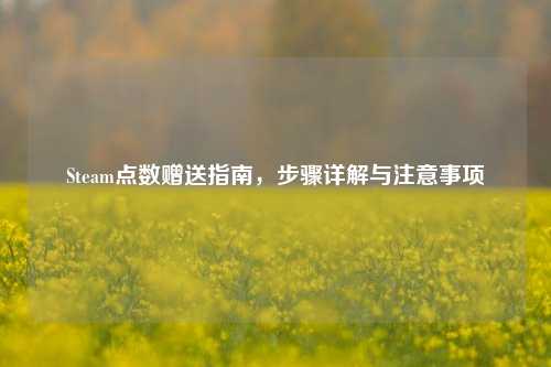 Steam点数赠送指南，步骤详解与注意事项