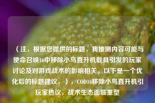 （注，根据您提供的标题，我推测内容可能与使命召唤16中移除小鸟直升机载具引发的玩家讨论及对游戏战术的影响相关。以下是一个优化后的标题建议，），COD16移除小鸟直升机引玩家热议，战术生态面临重塑