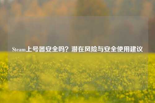 Steam上号器安全吗？潜在风险与安全使用建议