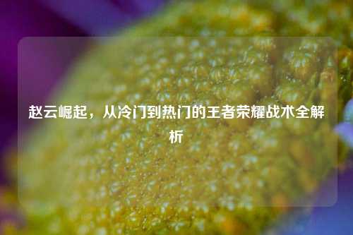 赵云崛起，从冷门到热门的王者荣耀战术全解析