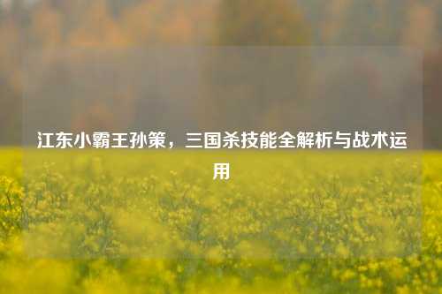 江东小霸王孙策，三国杀技能全解析与战术运用