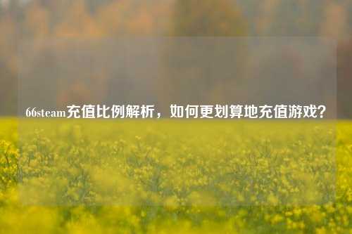 66steam充值比例解析，如何更划算地充值游戏？