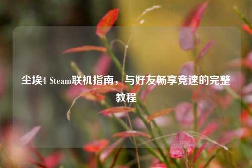 尘埃4 Steam联机指南，与好友畅享竞速的完整教程