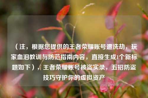 （注，根据您提供的王者荣耀账号遭洗劫，玩家血泪教训与防范指南内容，直接生成1个新标题如下），王者荣耀账号被盗实录，五招防盗技巧守护你的虚拟资产