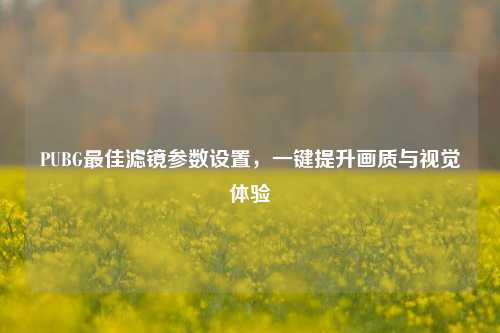 PUBG最佳滤镜参数设置，一键提升画质与视觉体验