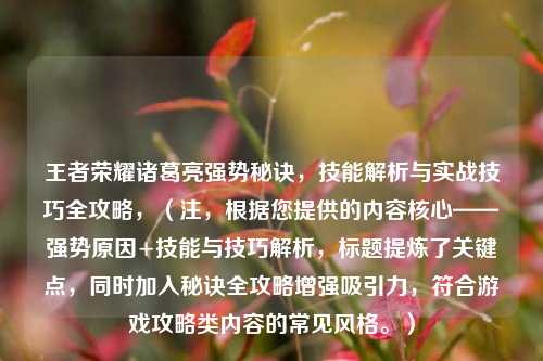 王者荣耀诸葛亮强势秘诀，技能解析与实战技巧全攻略，（注，根据您提供的内容核心——强势原因+技能与技巧解析，标题提炼了关键点，同时加入秘诀全攻略增强吸引力，符合游戏攻略类内容的常见风格。）