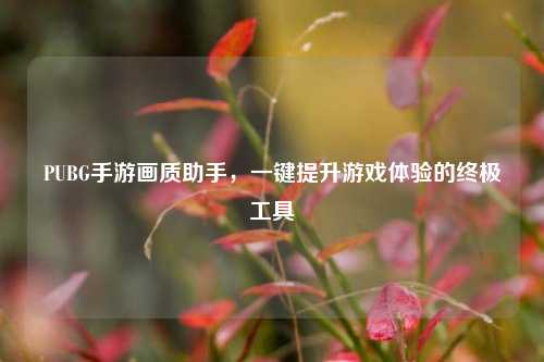 PUBG手游画质助手，一键提升游戏体验的终极工具