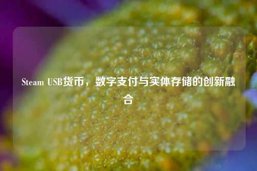 Steam USB货币，数字支付与实体存储的创新融合