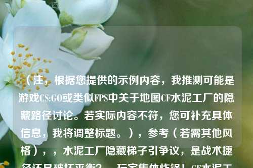 （注，根据您提供的示例内容，我推测可能是游戏CS:GO或类似FPS中关于地图CF水泥工厂的隐藏路径讨论。若实际内容不符，您可补充具体信息，我将调整标题。），参考（若需其他风格），，水泥工厂隐藏梯子引争议，是战术捷径还是破坏平衡？，玩家集体炸锅！CF水泥工厂BUG梯子竟能直通敌方腹地，职业选手都不敢用的阴间点位？水泥工厂空中梯子全解析