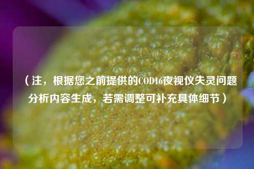（注，根据您之前提供的COD16夜视仪失灵问题分析内容生成，若需调整可补充具体细节）