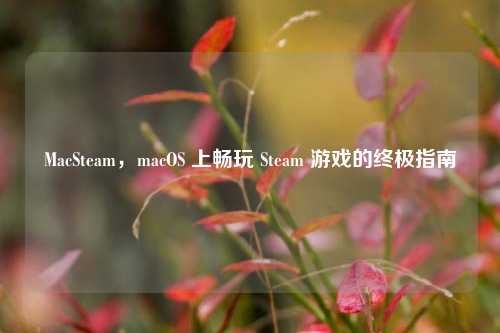 MacSteam，macOS 上畅玩 Steam 游戏的终极指南