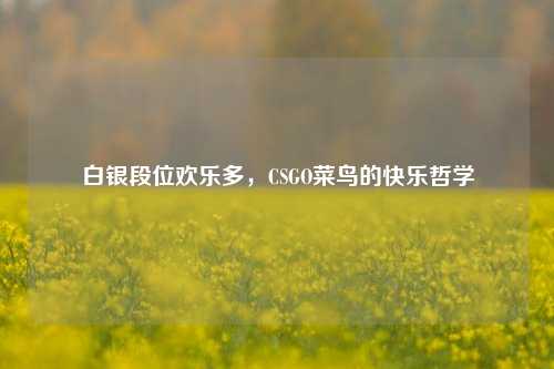 白银段位欢乐多，CSGO菜鸟的快乐哲学