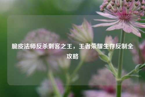 脆皮法师反杀刺客之王，王者荣耀生存反制全攻略