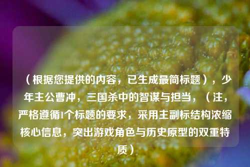 （根据您提供的内容，已生成最简标题），少年主公曹冲，三国杀中的智谋与担当，（注，严格遵循1个标题的要求，采用主副标结构浓缩核心信息，突出游戏角色与历史原型的双重特质）