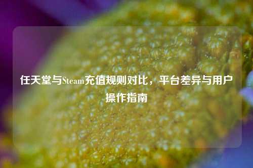 任天堂与Steam充值规则对比，平台差异与用户操作指南