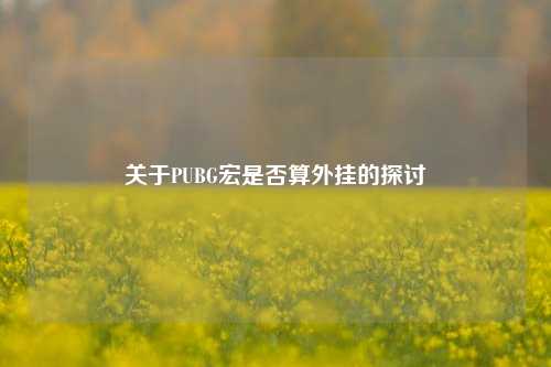 关于PUBG宏是否算外挂的探讨