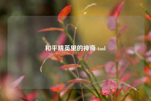 和平精英里的神奇 tool