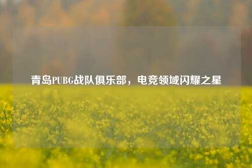 青岛PUBG战队俱乐部，电竞领域闪耀之星