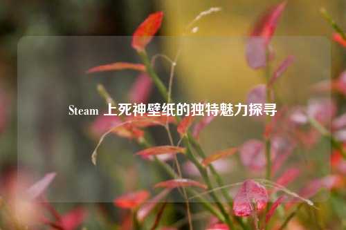 Steam 上死神壁纸的独特魅力探寻