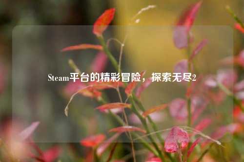 Steam平台的精彩冒险，探索无尽2
