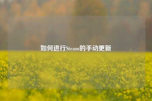 如何进行Steam的手动更新