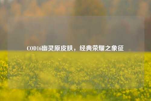 COD16幽灵原皮肤，经典荣耀之象征