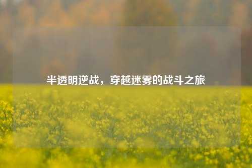 半透明逆战，穿越迷雾的战斗之旅