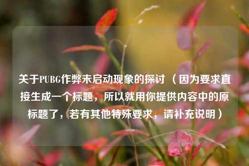 关于PUBG作弊未启动现象的探讨 （因为要求直接生成一个标题，所以就用你提供内容中的原标题了，若有其他特殊要求，请补充说明）