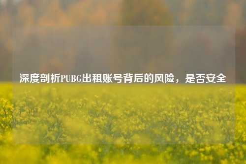 深度剖析PUBG出租账号背后的风险，是否安全