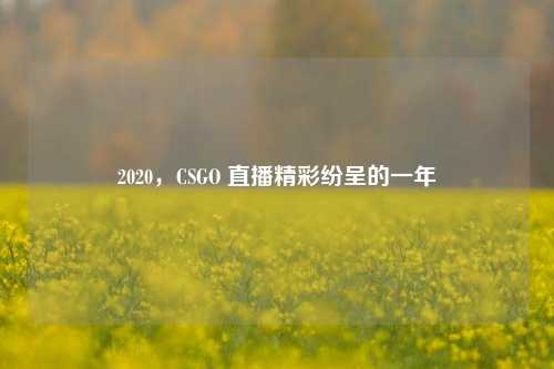 2020，CSGO 直播精彩纷呈的一年