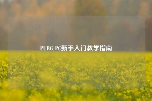 PUBG PC新手入门教学指南