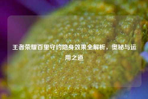 王者荣耀百里守约隐身效果全解析，奥秘与运用之道